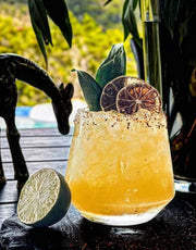 200 Dried Lime Slices – Long-Lasting Garnish for Drinks