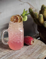 200 Dried Lime Slices – Bulk garnish for Bars & Events