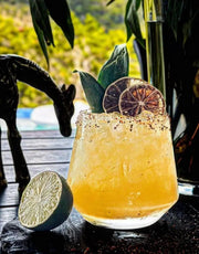 200 Dried Lime Slices – Bulk garnish for Bars & Events