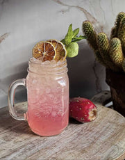 100 Dried Lemon Slices – Ready-to-Use Drink Garnish