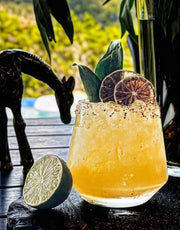 3.5 Oz Dried Lime slices - Perfect for Cocktails & Garnishing ( 90+ Slices )